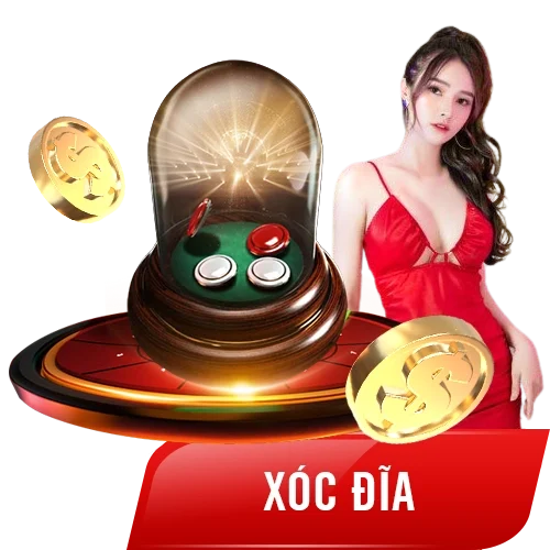 MB88-xoc-dia